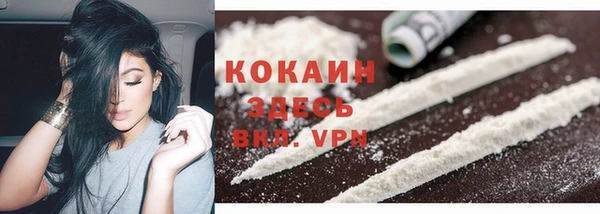 PSILOCYBIN Верхний Тагил
