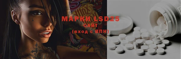 PSILOCYBIN Верхний Тагил