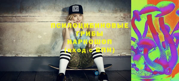 PSILOCYBIN Верхний Тагил